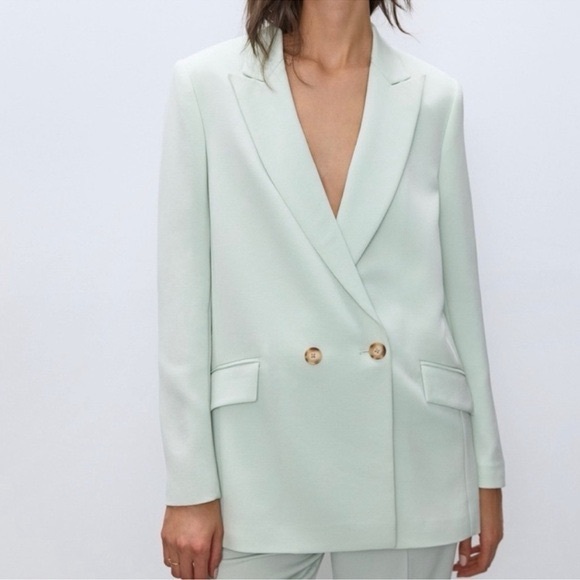 Aritzia Babaton Janson Blazer - Picture 1 of 4